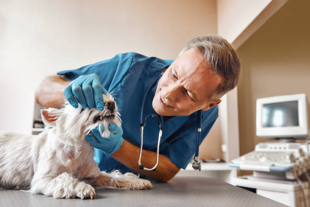 Best Emergency Denture Repair in Fond Du Lac, WI